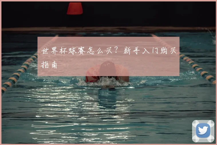 世界杯球赛怎么买？新手入门购买指南