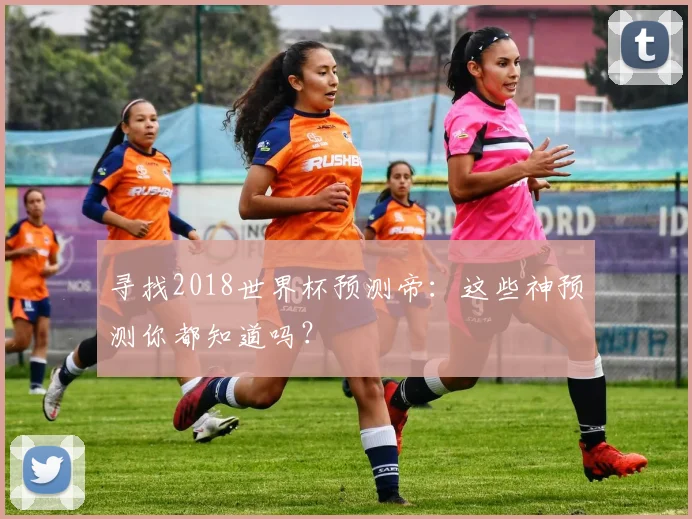 寻找2018世界杯预测帝：这些神预测你都知道吗？
