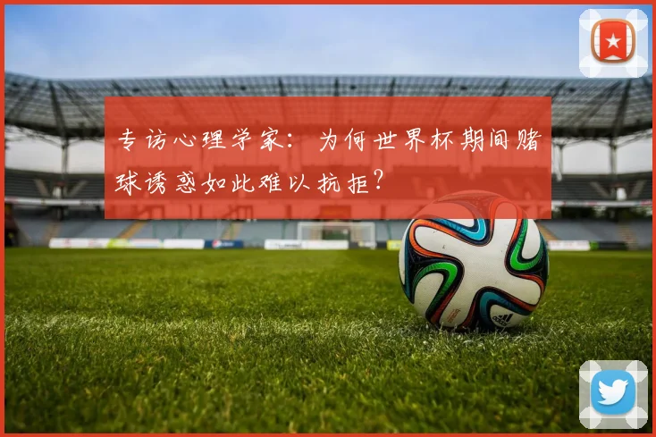 专访心理学家：为何世界杯期间赌球诱惑如此难以抗拒？