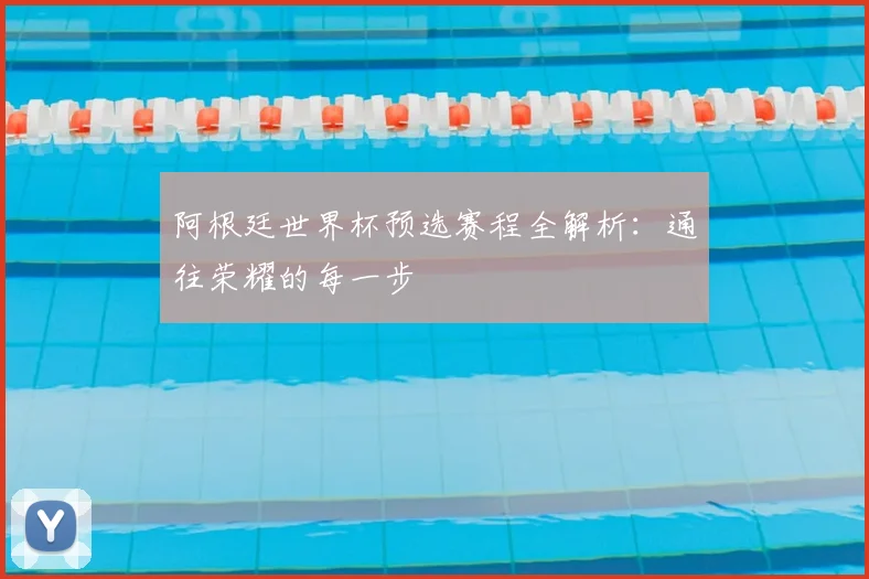 阿根廷世界杯预选赛程全解析:通往荣耀的每一步