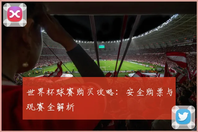 世界杯球赛购买攻略：安全购票与观赛全解析